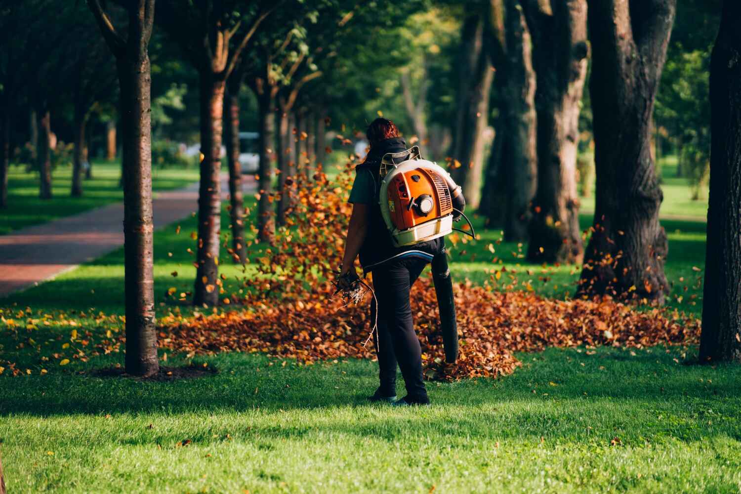 Best Emergency Storm Tree Removal  in Atlanta, GA